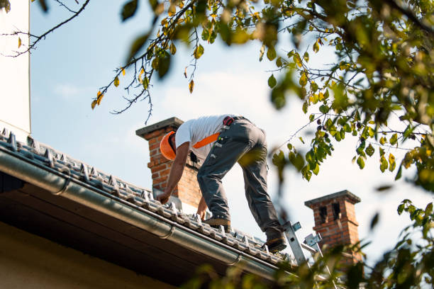 Best Storm Damage Roof Repair  in Richmond, MI
