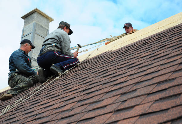 Best Roof Inspection Near Me  in Richmond, MI